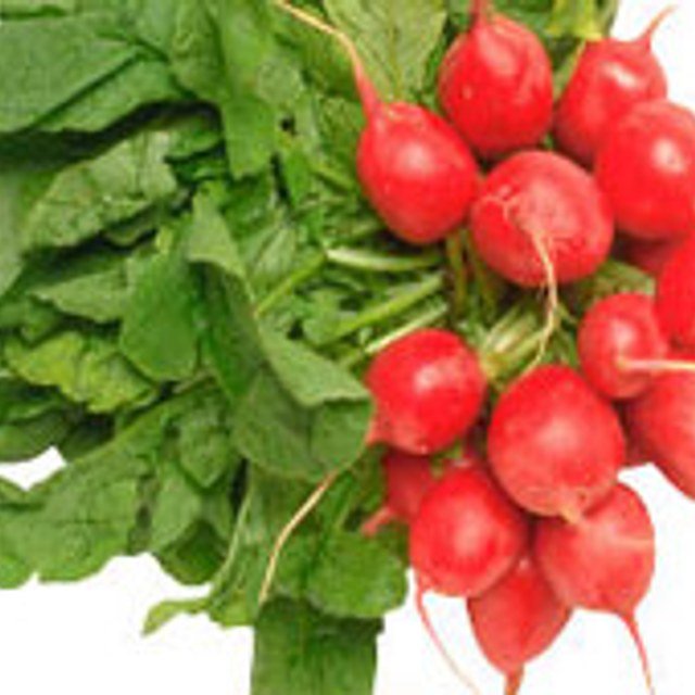 Radish Seed