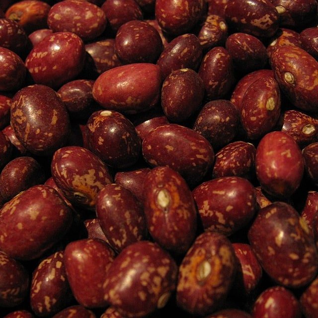 Cluster Bean Seed