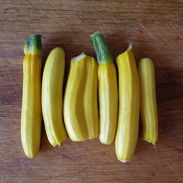 Hybrid Pumpkin Seed