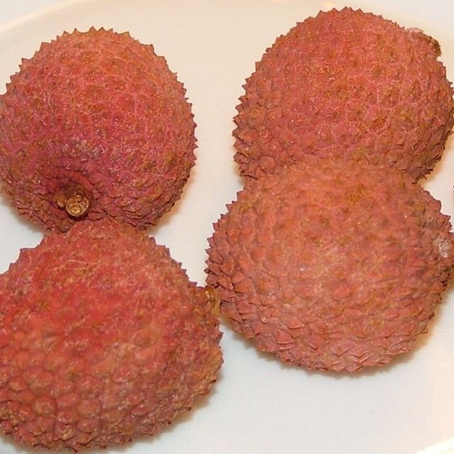 Litchi Seed