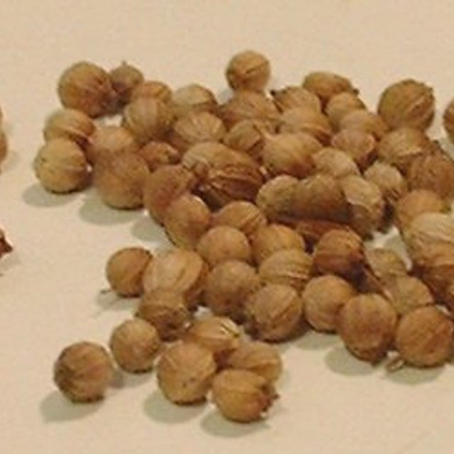 Coriander Seed for planting